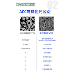DENSITY Amorphical Density Amorphous Calcium Caplets (ACC) 無定形鈣錠 200mg (60粒)