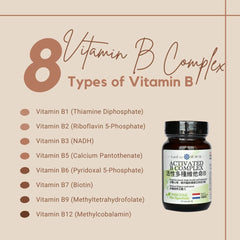 健補快活性多種維他命B膠囊 (30粒)