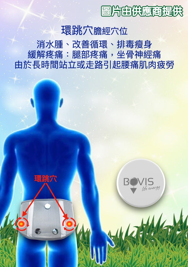 Bovis能量護脊腰帶  (能量升級版)