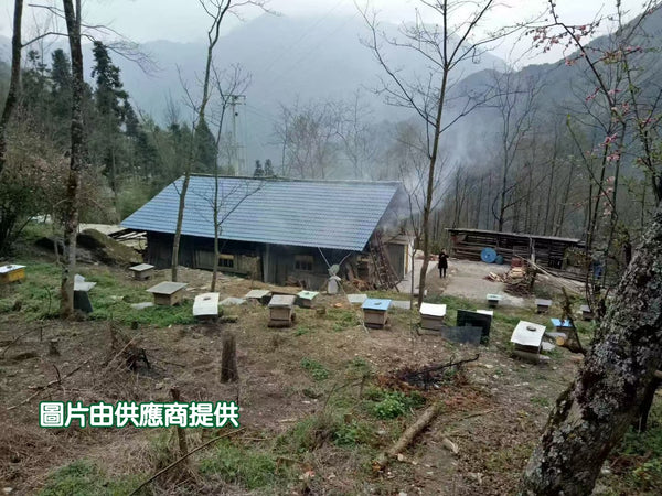 五味子黃柏天然百花蜜 (500g)