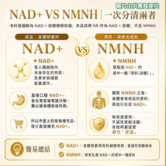 星滙網獲官方授權銷售產品 AIDEVI NAD+Sustain 終極長壽與細胞再生 (60粒)