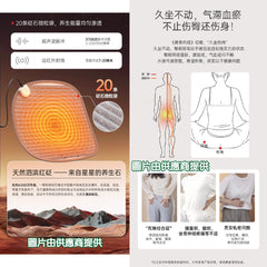 艾益生 砭石熱敷坐墊 (訂)