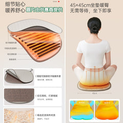 艾益生 砭石熱敷坐墊 (訂)