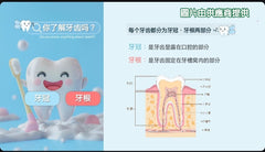 艾益生 草本清新牙膏 120g (3支)