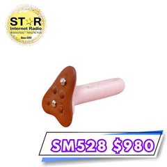 艾益生 砭石提拉美容儀 (訂)