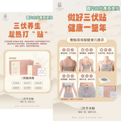 艾益生 三伏本草貼 (68片) 1盒