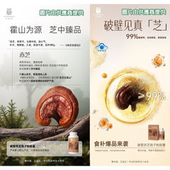 艾益生 破壁靈芝孢子粉膠囊 (1樽-90粒)  3樽裝