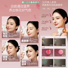 艾益生 砭石面部桃花儀
