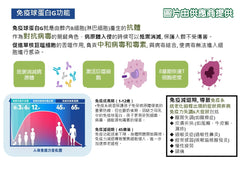 Encare IgG16800活性免疫球蛋白丸 (60粒)